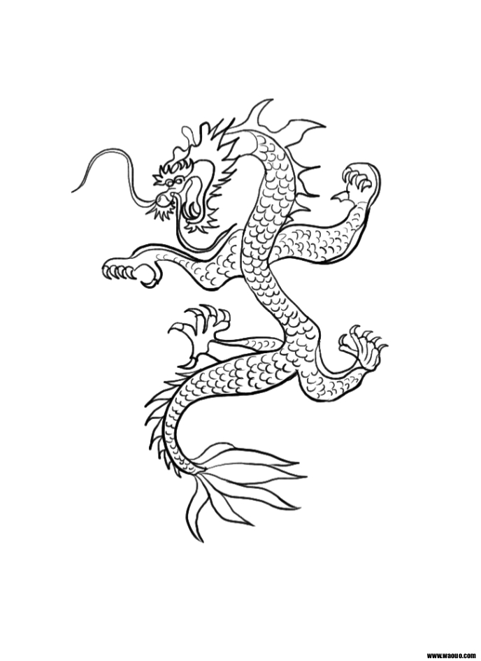 Coloriage dragon chinois