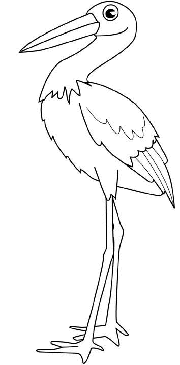 Coloriage cigogne