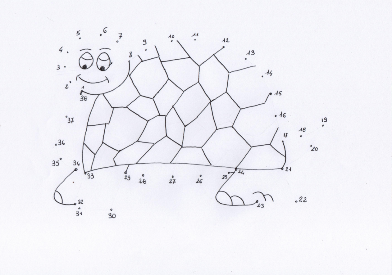 Coloriage point à relier tortue